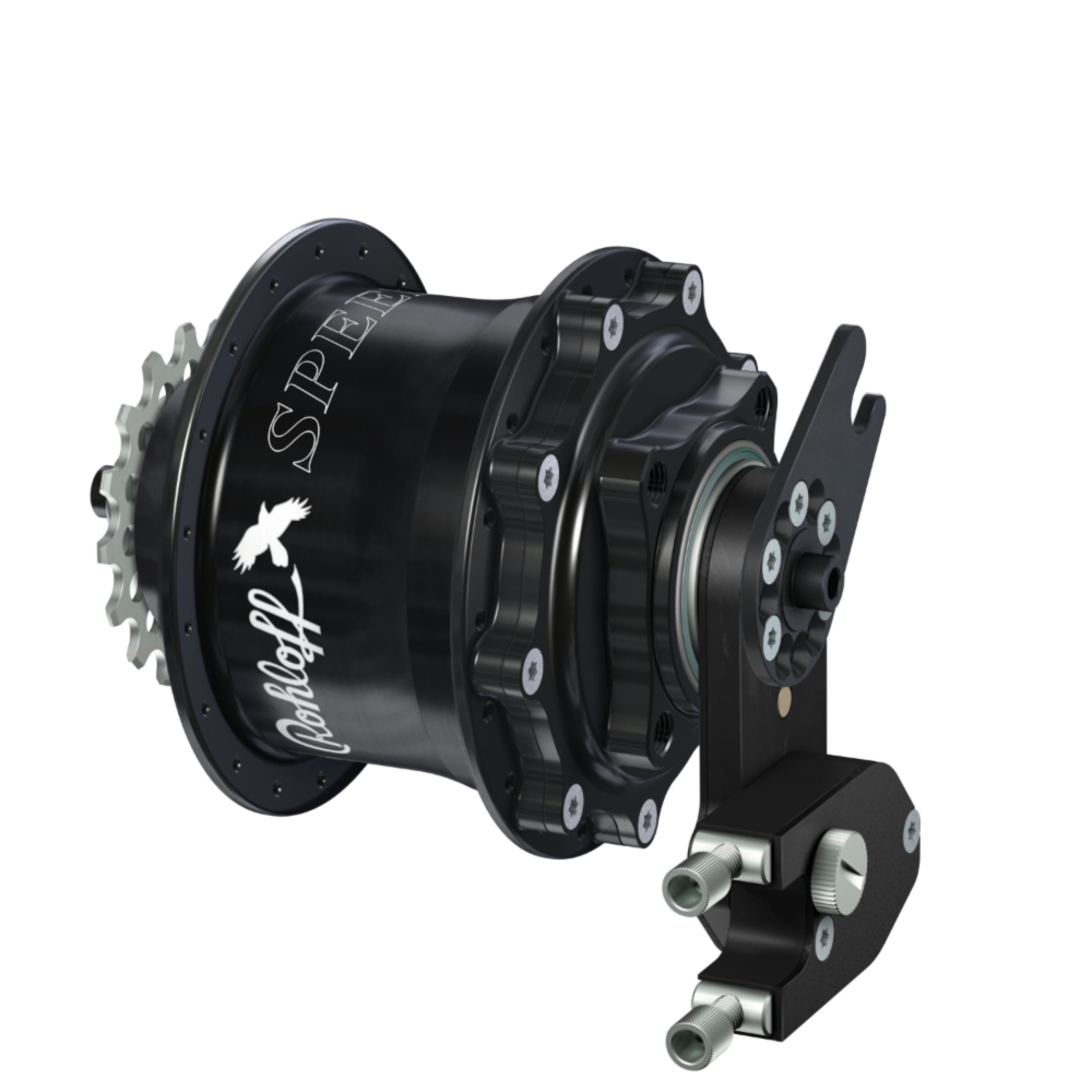 chainring